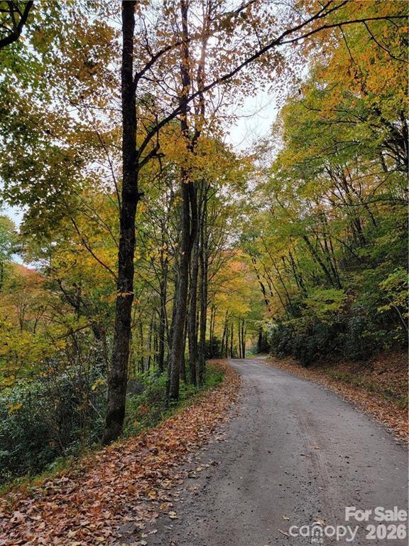 24 Tater Patch Road Maggie Valley, NC 28751 - Photo 2 of 29 Gallery Image 2