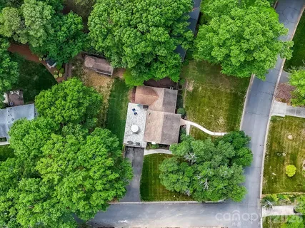 an aerial view of a house with a yard potted plants and large tree