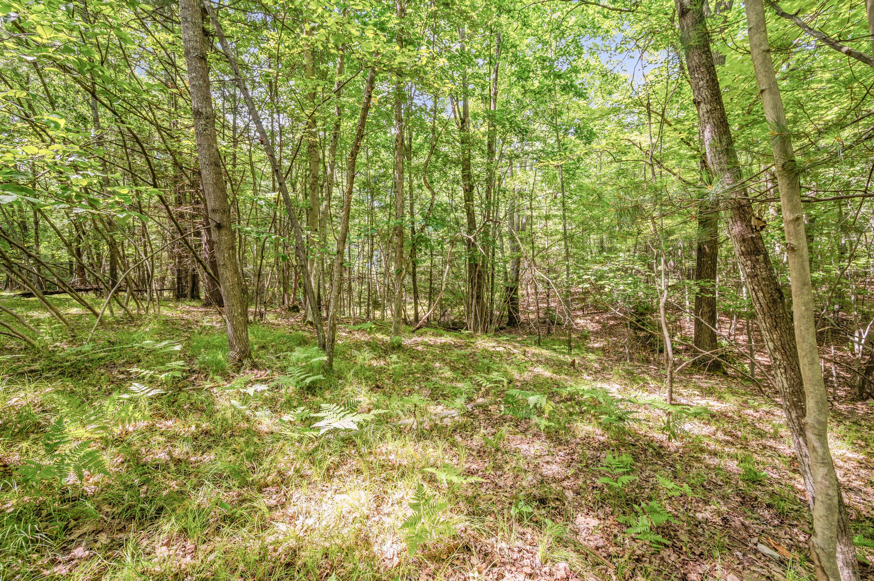 15 West 12 Mile Road Irons, MI 49644 - Photo 24 of 32 Lot15-12MileRd-Irons-7