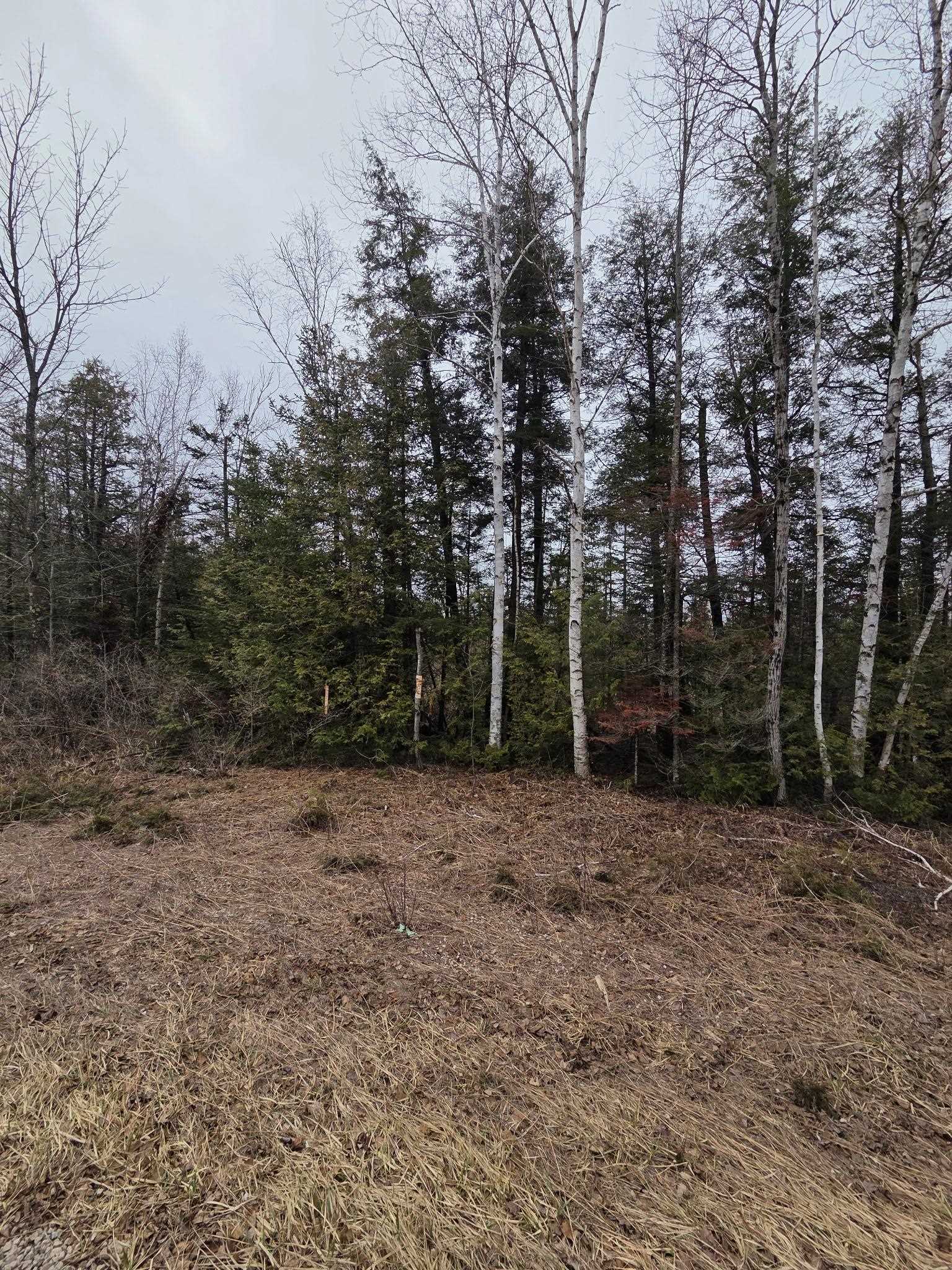 County Road Porterfield, WI 54159 - Photo 1 of 3
