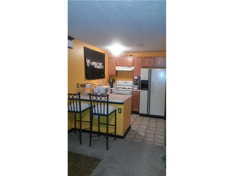 107 Stream View Court Sarver, PA 16055 - Photo 25 of 25 Kitchen. Second Kitchen in Gameroom!