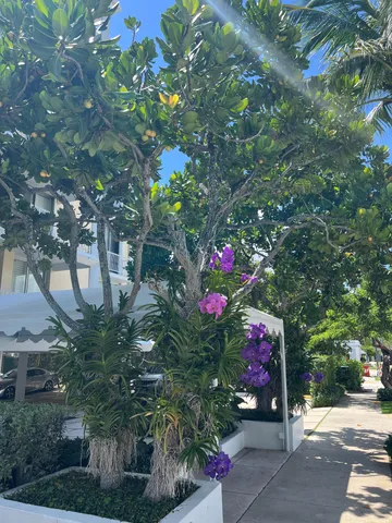 $11,000 | 170 Chilean Avenue, Unit 5D, Palm Beach, FL 33480