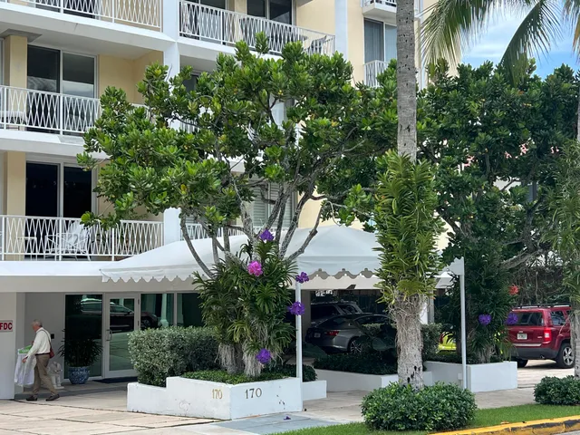 a front view of a house with a tree