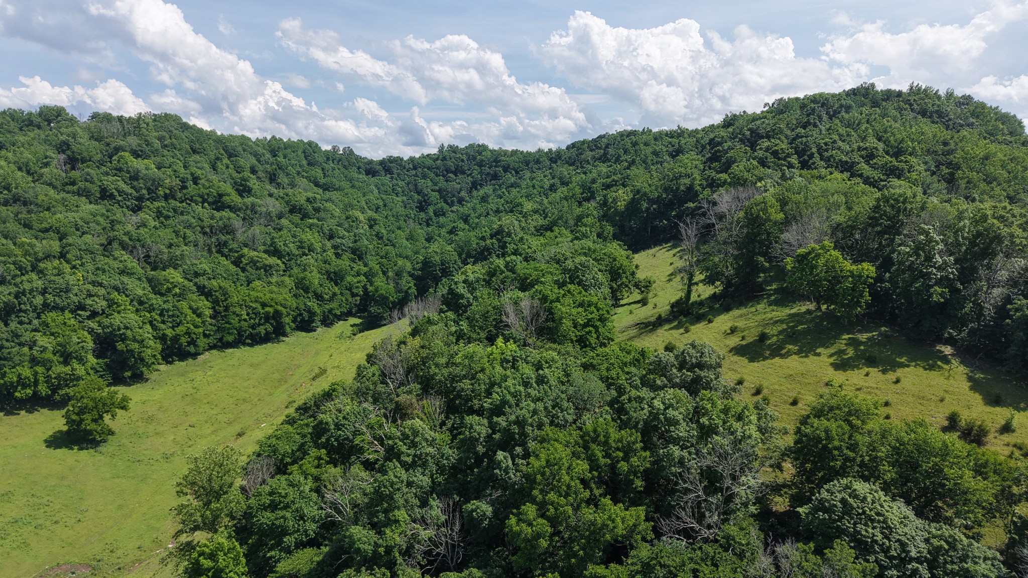 1358 Dry Branch Road Dixon Springs, TN 37057 - Photo 85 of 98