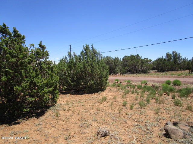 2228 Laguna Road Show Low, AZ 85901 - Photo 11 of 13 Gallery Image 11