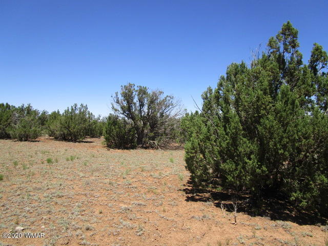 2228 Laguna Road Show Low, AZ 85901 - Photo 12 of 13 Gallery Image 12