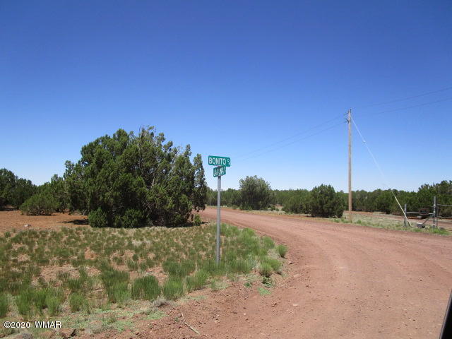 2228 Laguna Road Show Low, AZ 85901 - Photo 13 of 13 Gallery Image 13