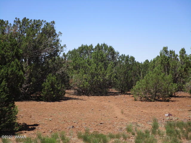 2228 Laguna Road Show Low, AZ 85901 - Photo 3 of 13 Gallery Image 3