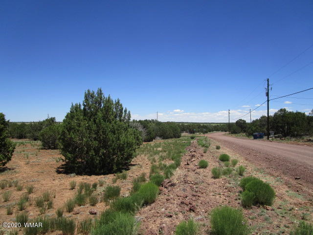 2228 Laguna Road Show Low, AZ 85901 - Photo 4 of 13 Gallery Image 4