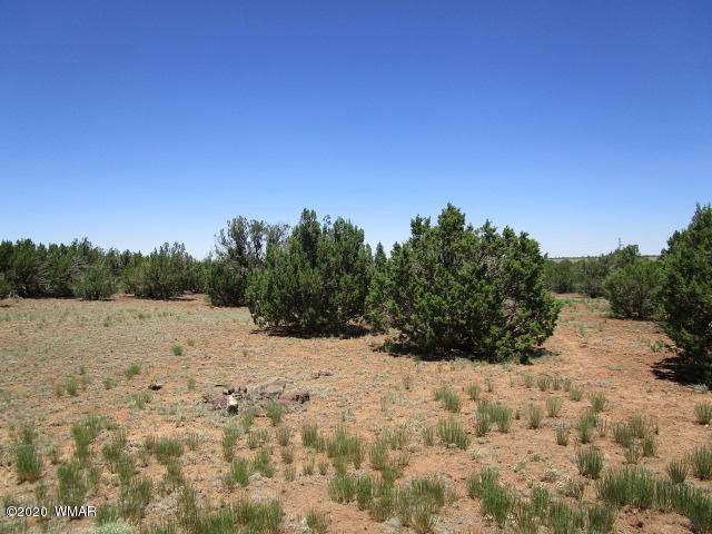 2228 Laguna Road Show Low, AZ 85901 - Photo 5 of 13 Gallery Image 5