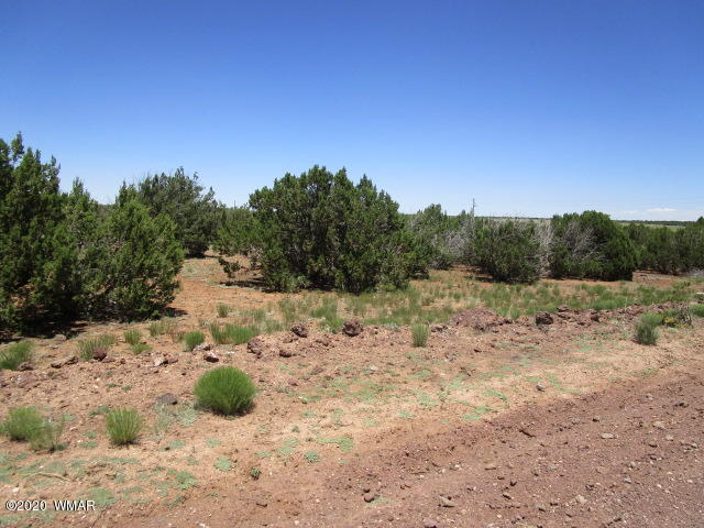 2228 Laguna Road Show Low, AZ 85901 - Photo 6 of 13 Gallery Image 6