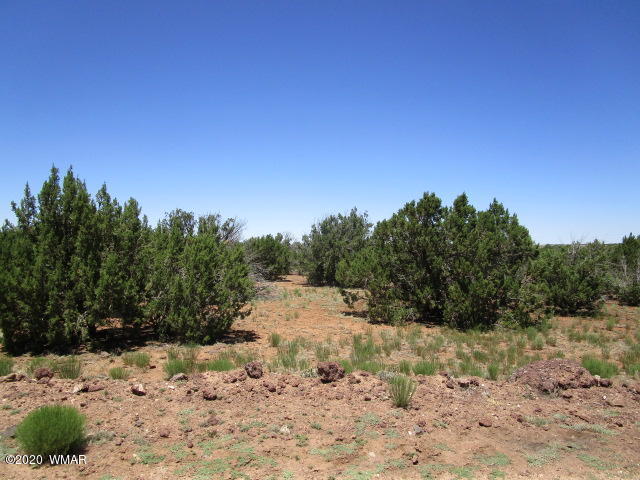 2228 Laguna Road Show Low, AZ 85901 - Photo 7 of 13 Gallery Image 7