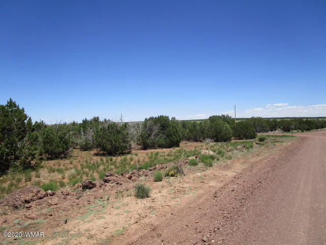 2228 Laguna Road Show Low, AZ 85901 - Photo 8 of 13 Gallery Image 8