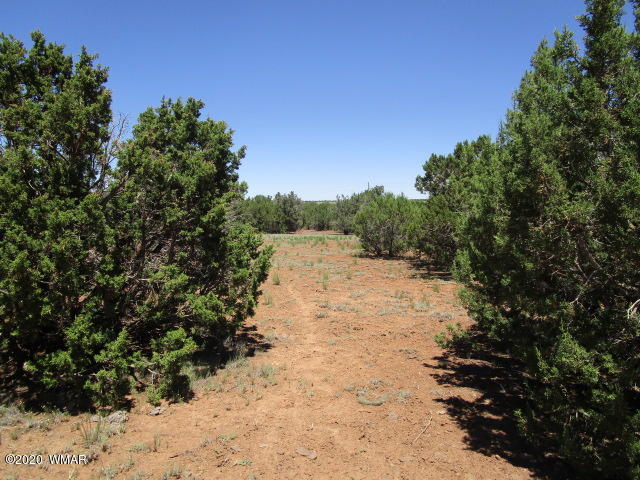 2228 Laguna Road Show Low, AZ 85901 - Photo 9 of 13 Gallery Image 9