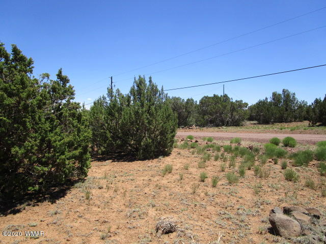 2228 Laguna Road Show Low, AZ 85901 - Photo 10 of 13 Gallery Image 10