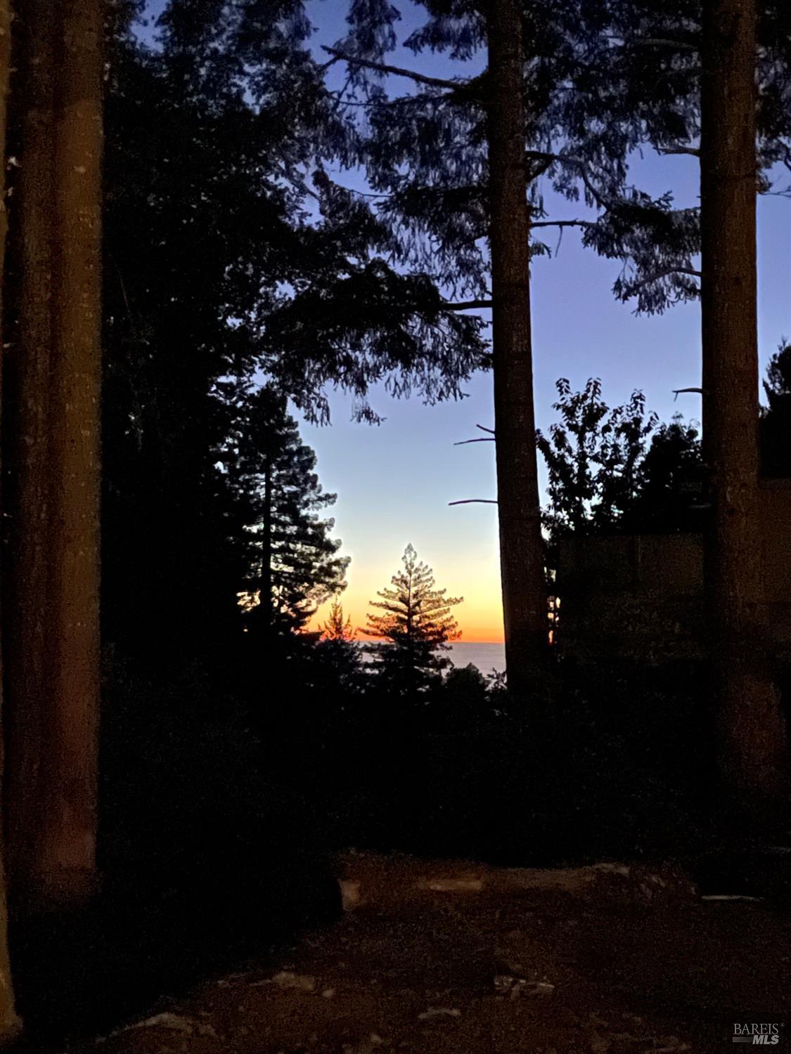 28800 Seaview Road Cazadero, CA 95421 - Photo 13 of 14 a view of a yard in front of the house