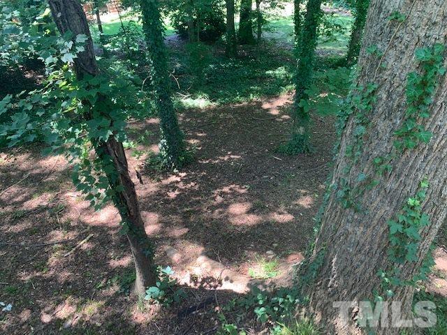 6917 Sandringham Drive Raleigh, NC 27613 - Photo 21 of 25 No grass to mow!