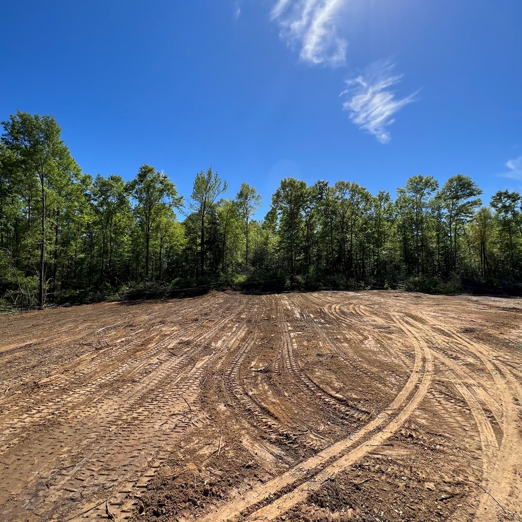 520 George Road Dothan, AL 36301 - Photo 6 of 12