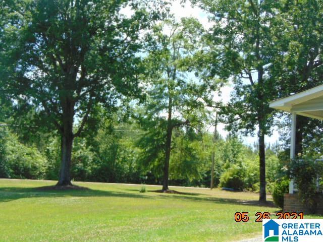 90 County Road 89 Clanton, AL 35046 - Photo 20 of 20