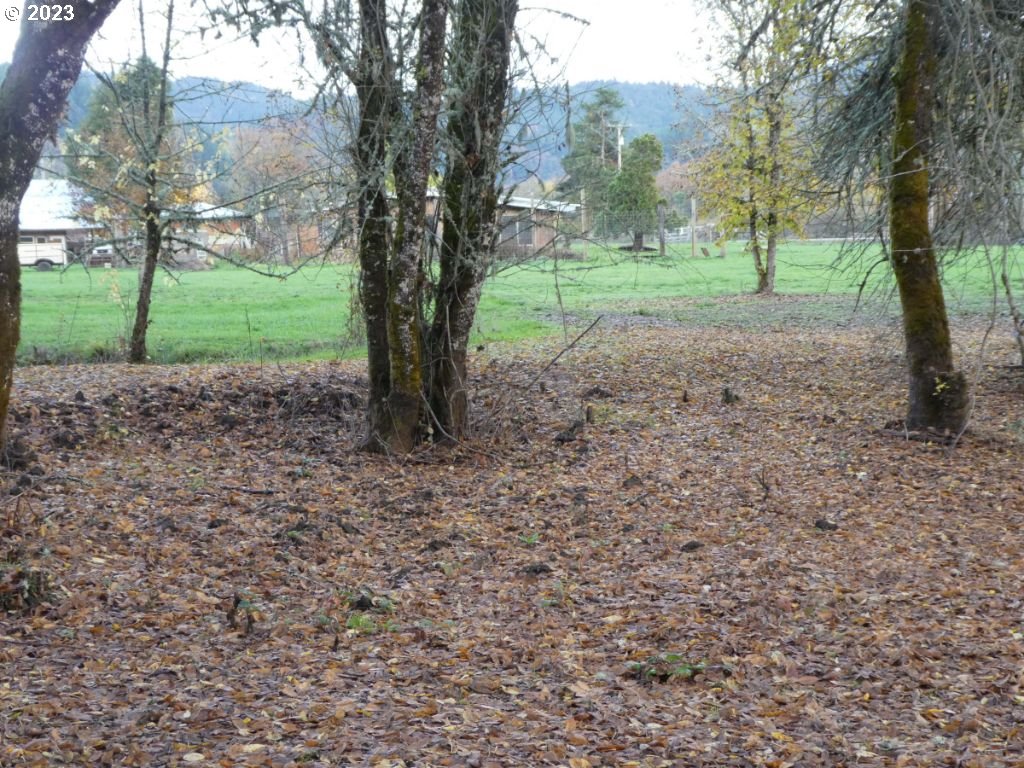 350 Deady Crossing Road Sutherlin, OR 97479 - Photo 11 of 47 a view of a yard with tree s