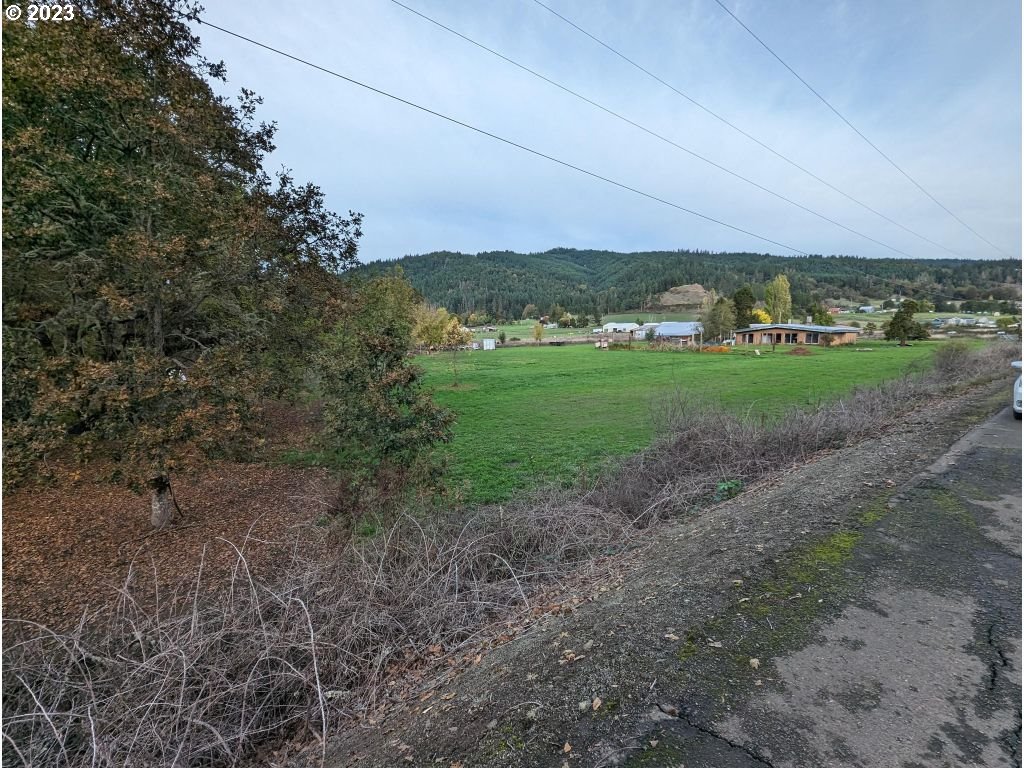 350 Deady Crossing Road Sutherlin, OR 97479 - Photo 2 of 47 a view of a big yard with lawn chairs and large trees