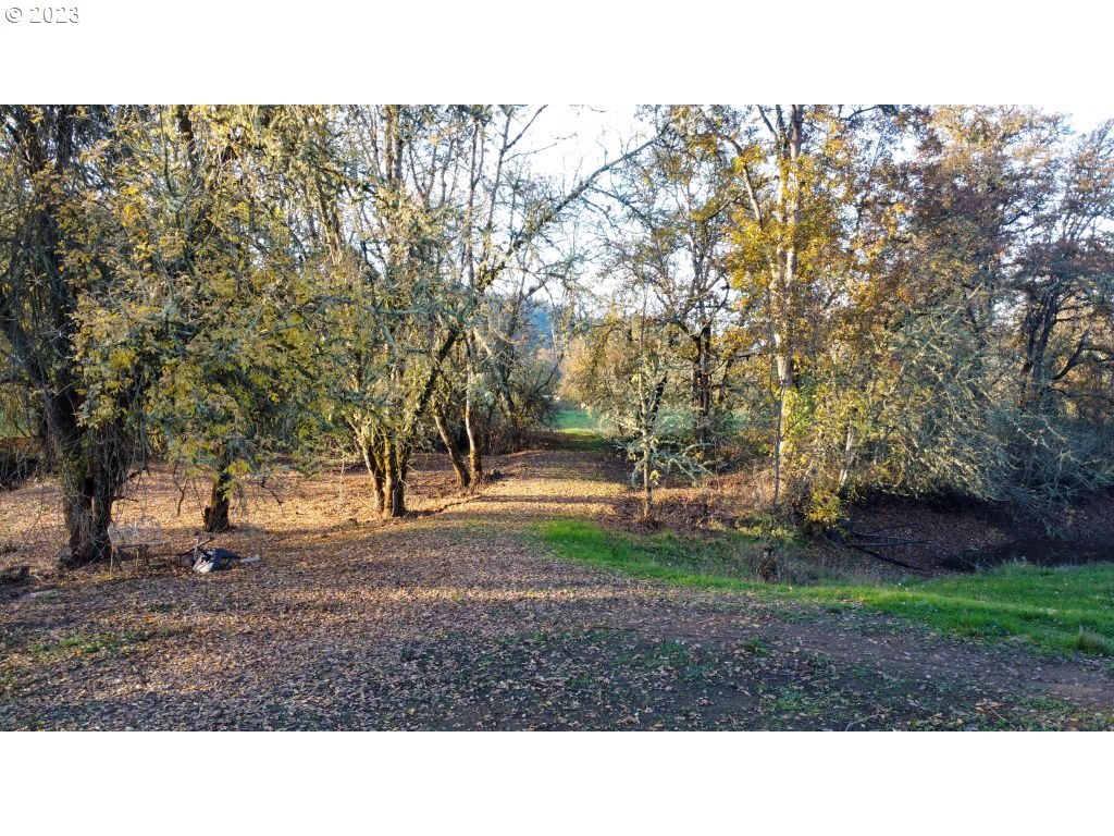 350 Deady Crossing Road Sutherlin, OR 97479 - Photo 10 of 47 a backyard of a house with lots of green space
