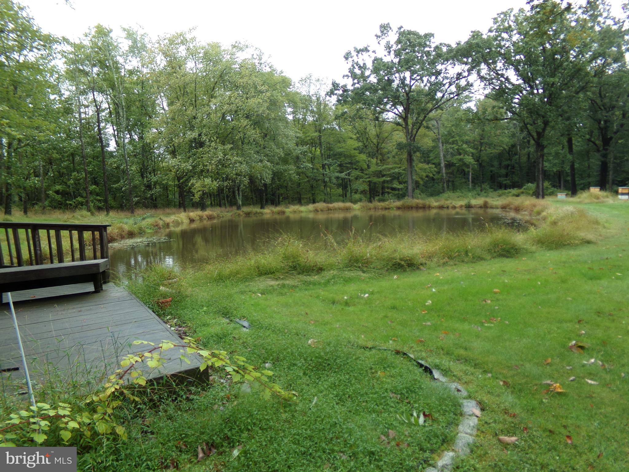 105 Old Forge Road Upper Black Eddy, PA 18972 - Photo 5 of 25