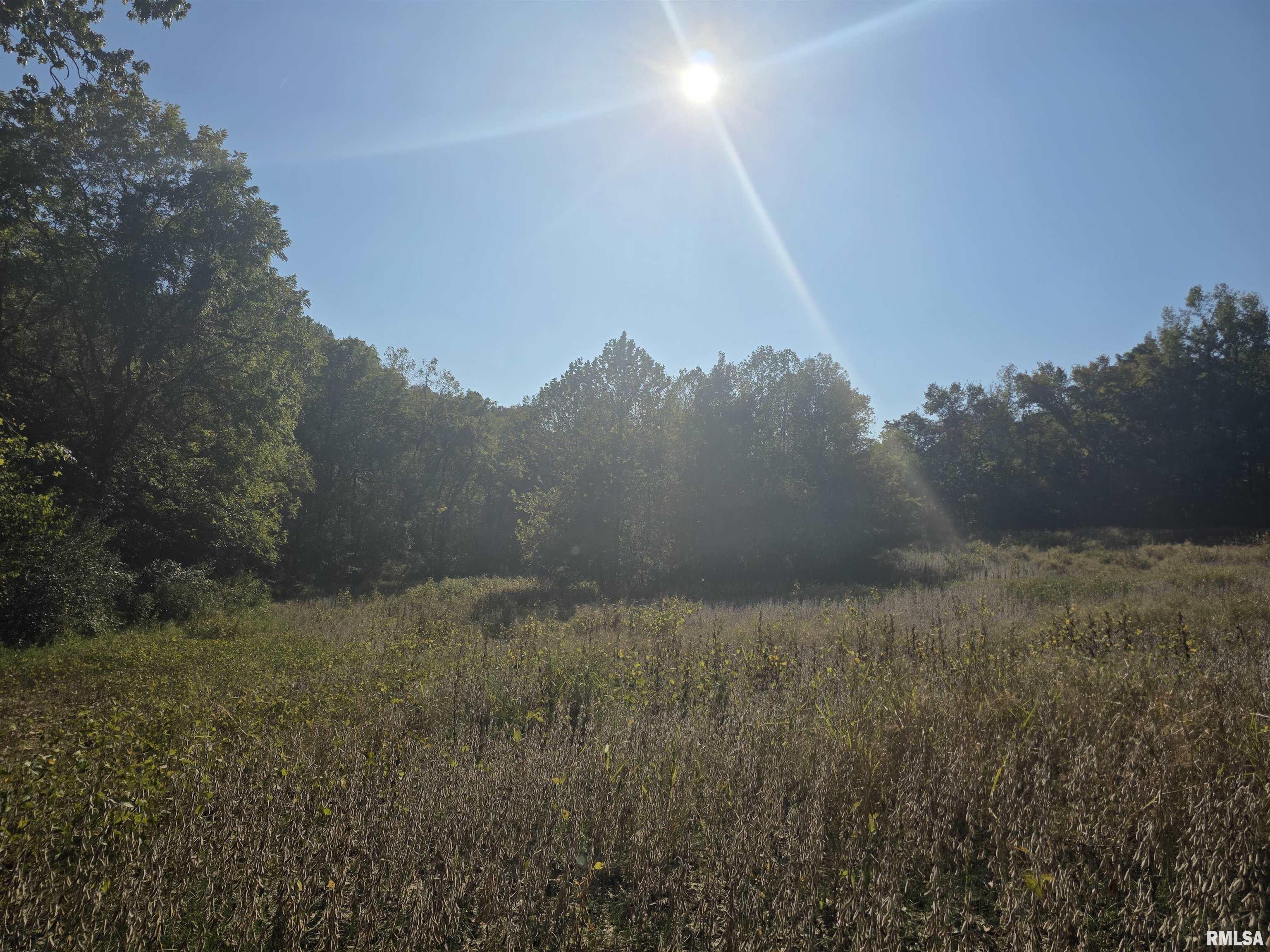 19168 County Line Road Jonesboro, IL 62952 - Photo 16 of 53