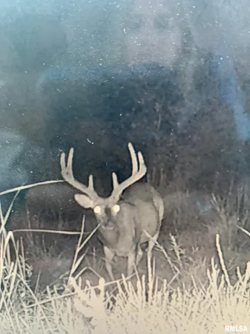 $978,000 | 19168 County Line Road, Jonesboro, IL 62952