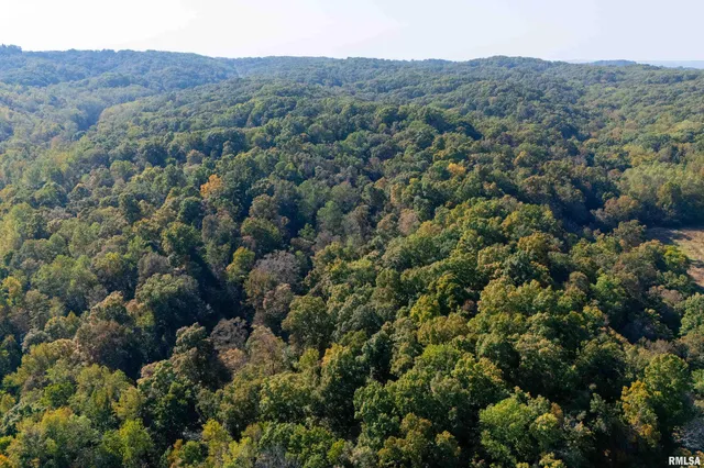 $978,000 | 19168 County Line Road, Jonesboro, IL 62952