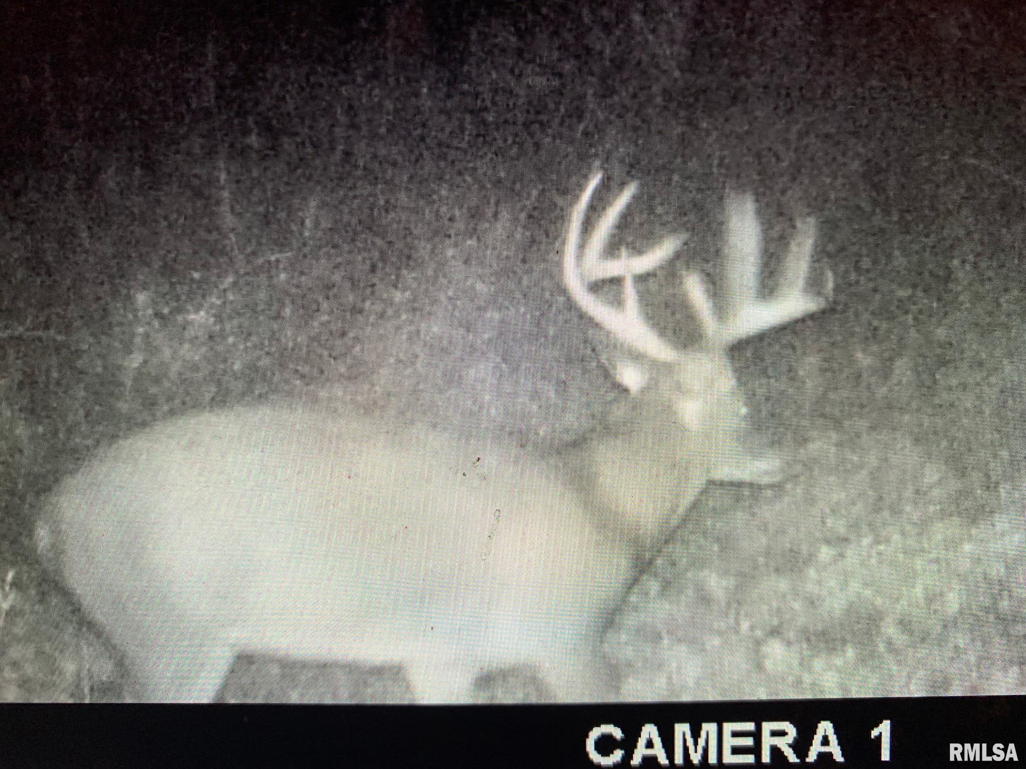 19168 County Line Road Jonesboro, IL 62952 - Photo 34 of 53