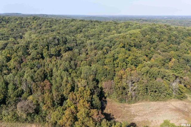 $978,000 | 19168 County Line Road, Jonesboro, IL 62952