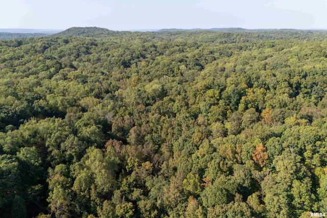 $978,000 | 19168 County Line Road, Jonesboro, IL 62952