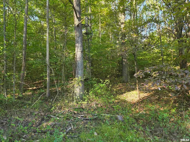 $978,000 | 19168 County Line Road, Jonesboro, IL 62952