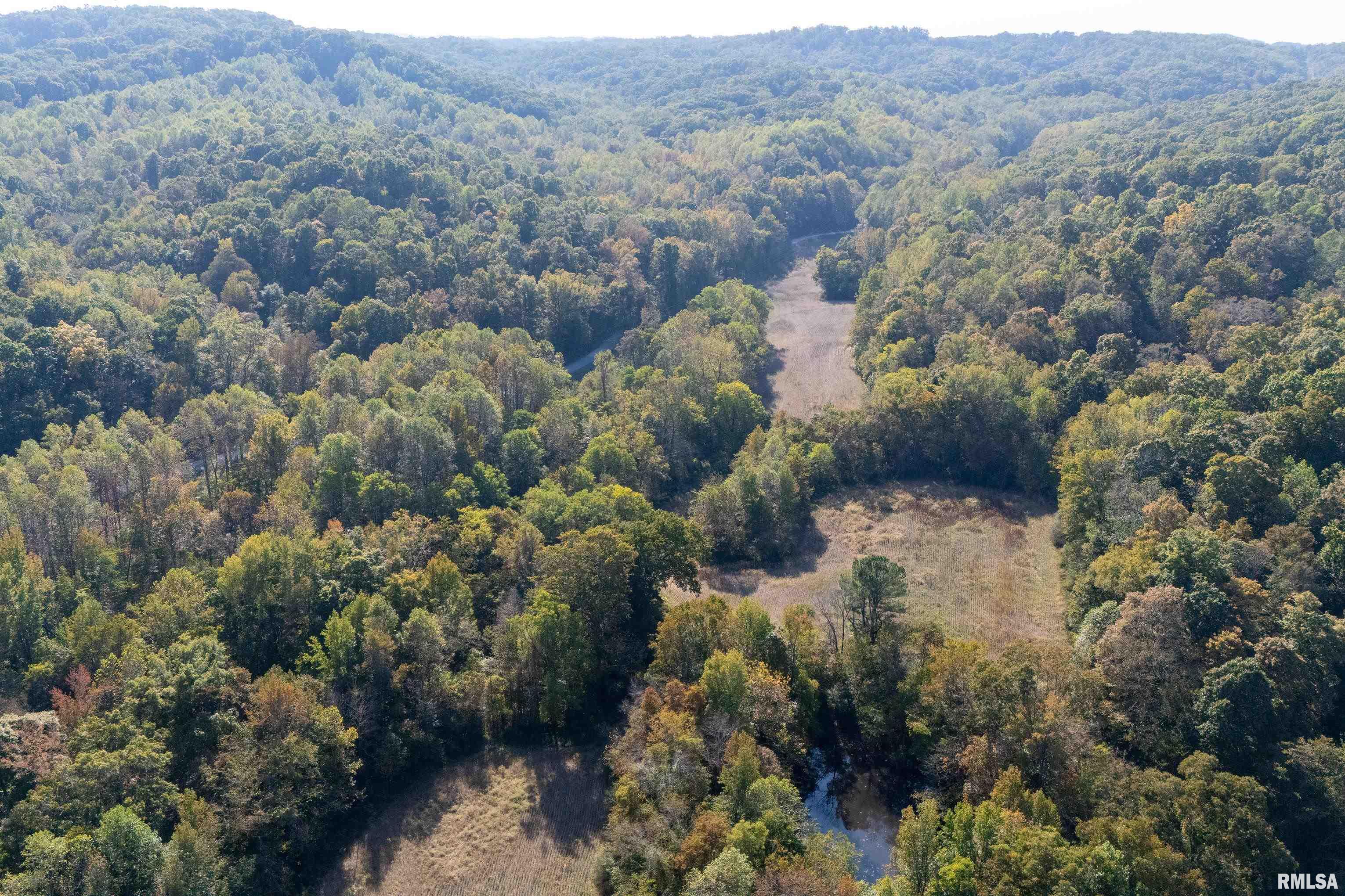 19168 County Line Road Jonesboro, IL 62952 - Photo 44 of 53