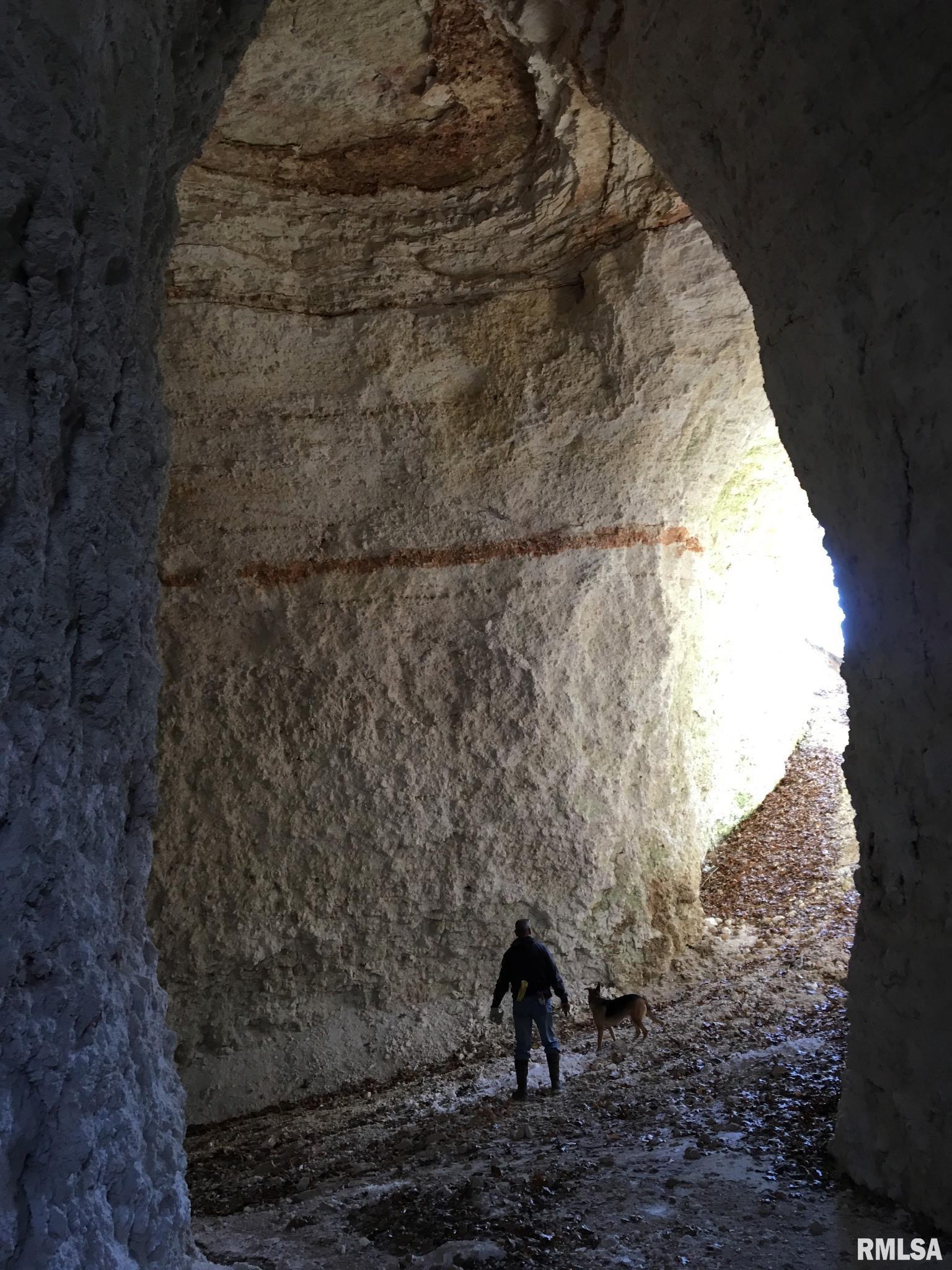 19168 County Line Road Jonesboro, IL 62952 - Photo 6 of 53