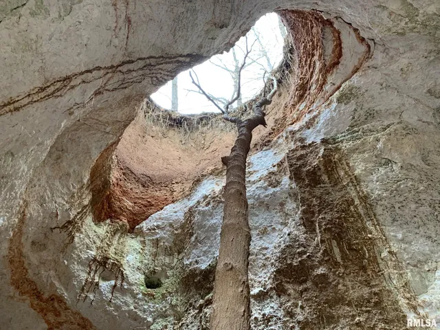 $978,000 | 19168 County Line Road, Jonesboro, IL 62952