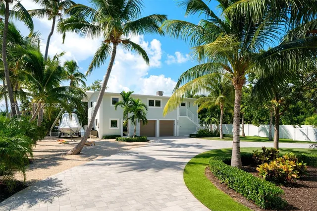 a view of a park with palm trees