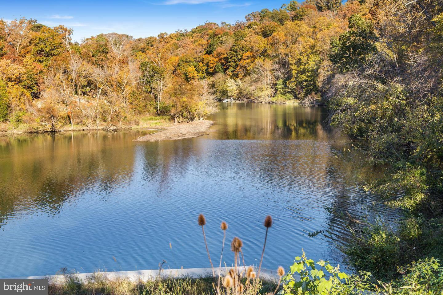 6535 Rimrock Road New Market, MD 21774 - Photo 50 of 50 Walk in nature