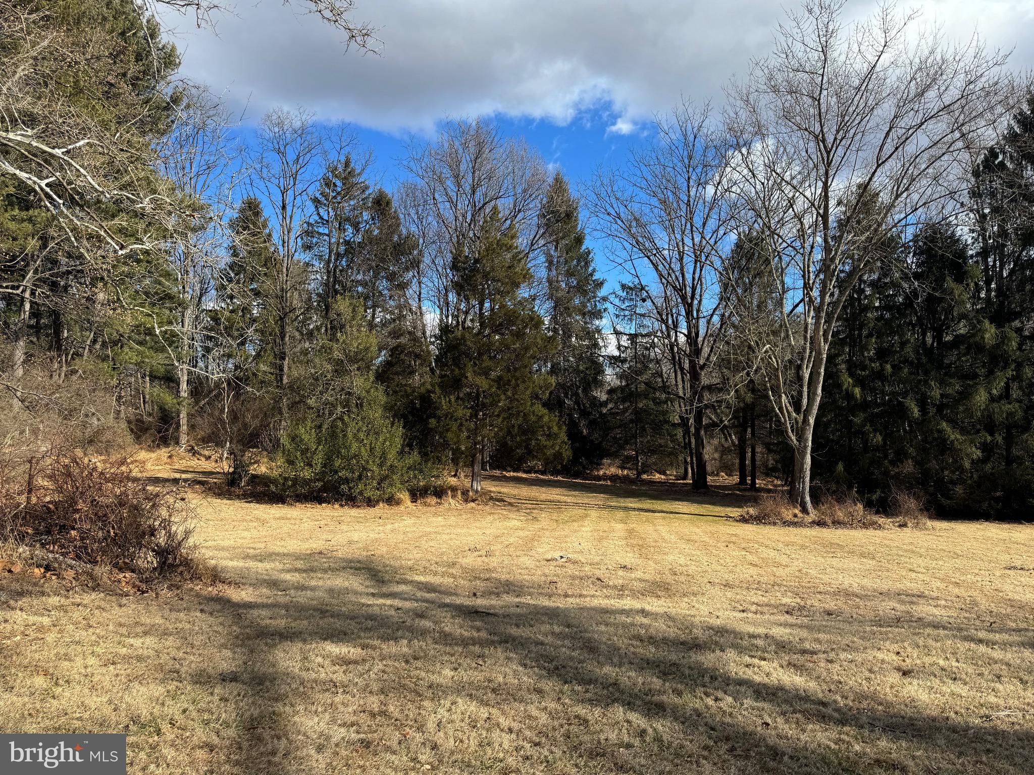 217 Sidney Road Pittstown, NJ 08867 - Photo 32 of 32