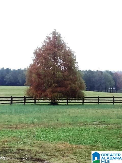 1785 Nunnally Lake Road Ohatchee, AL 36271 - Photo 36 of 50