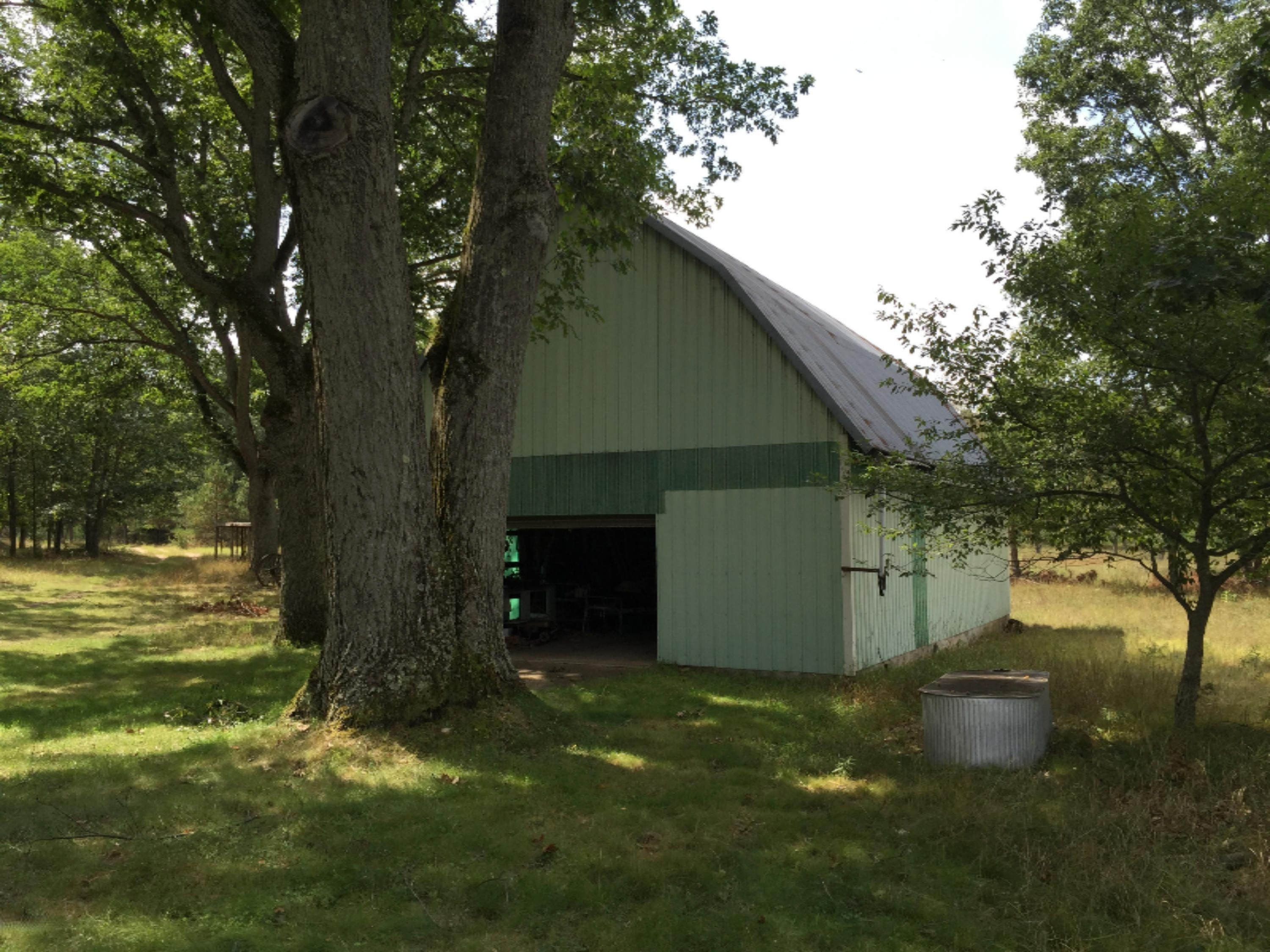 8149 West 5 Mile Road Irons, MI 49644 - Photo 25 of 29 IMG_9803