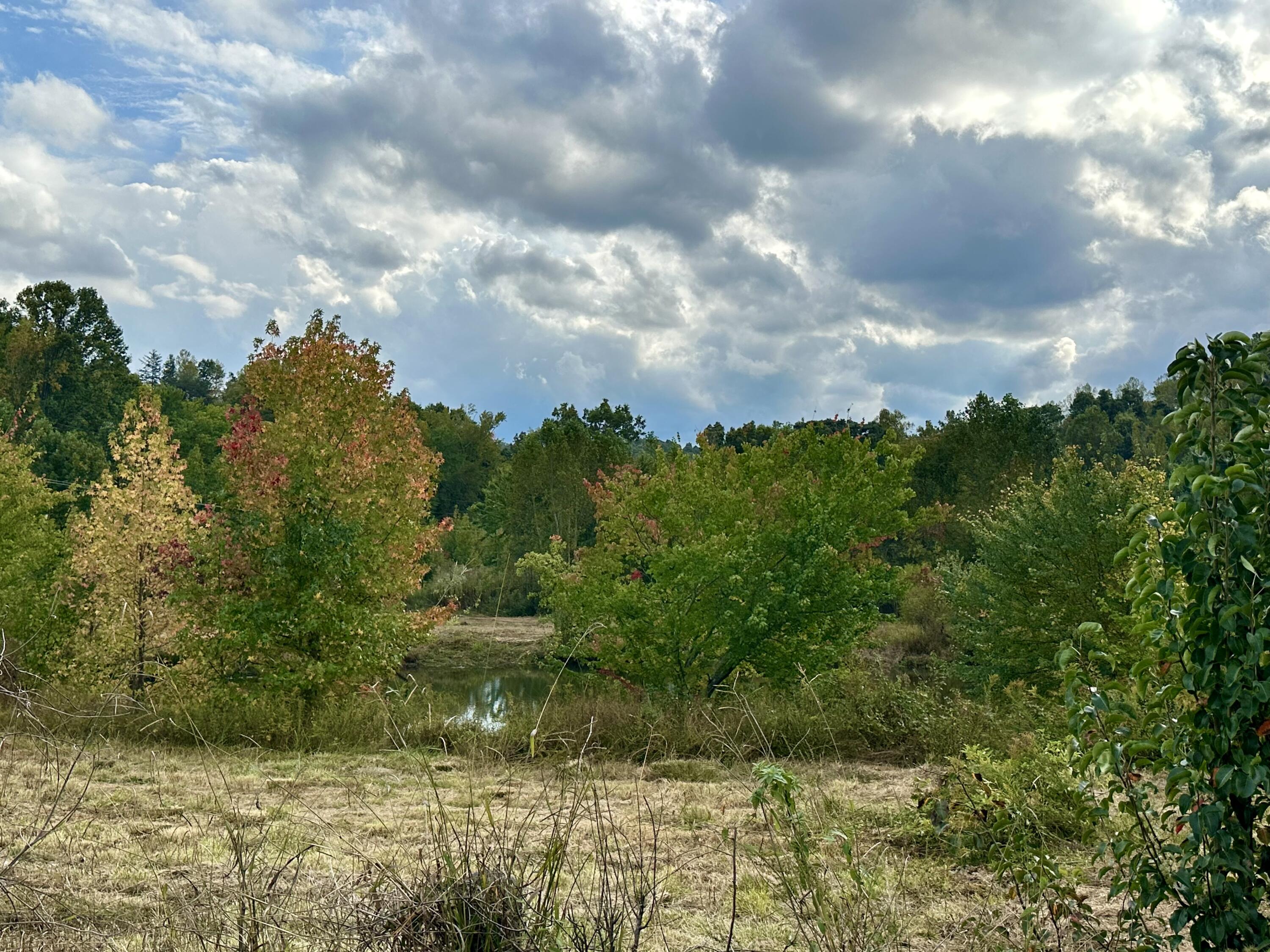 1073 Old Way Road London, KY 40741 - Photo 14 of 35 POND