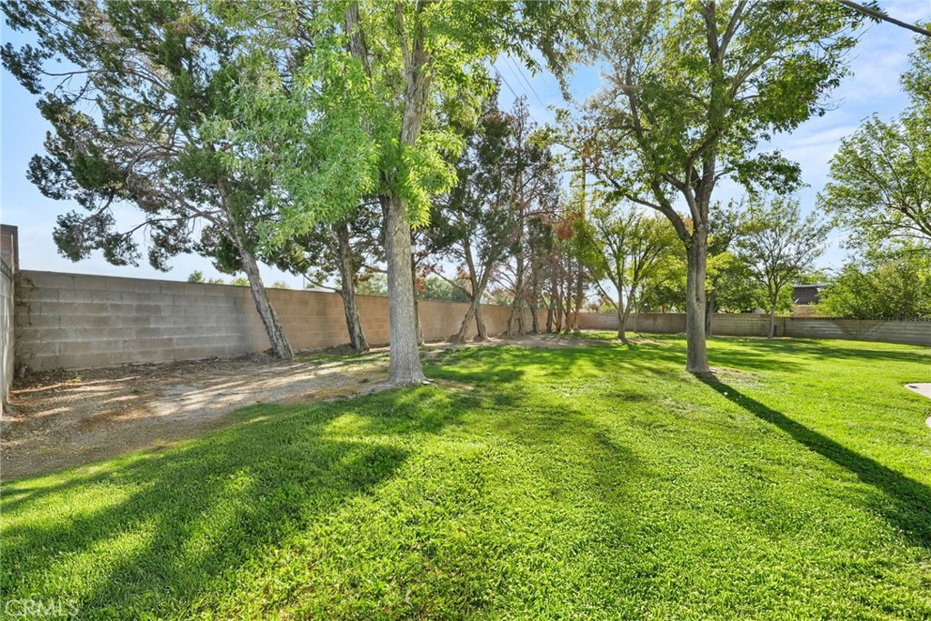2130 Spice Street Lancaster, CA 93536 - Photo 38 of 45 a view of a backyard with tree
