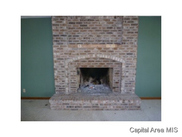 8350 Book Road Williamsville, IL 62693 - Photo 8 of 18 Gallery Image 8