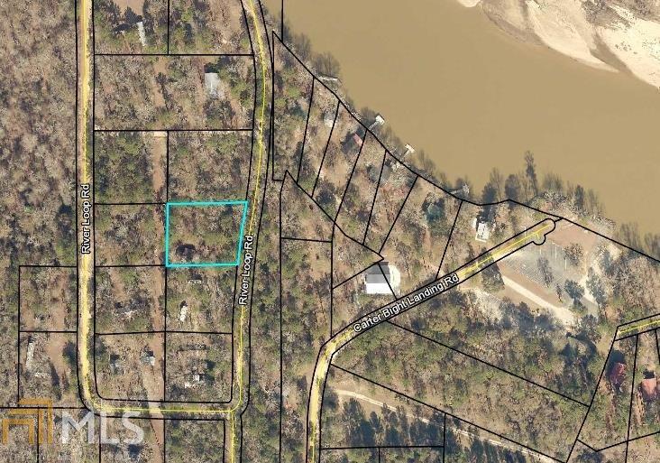 0 River Loop Road Surrency, GA 31563 - Photo 1 of 1 Gallery Image 1