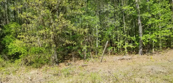 $35,000 | 0 Belton Lane, Ruffin, SC 29475