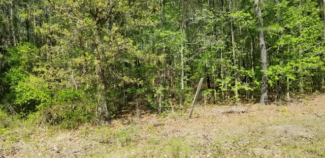 $35,000 | 0 Belton Lane, Ruffin, SC 29475