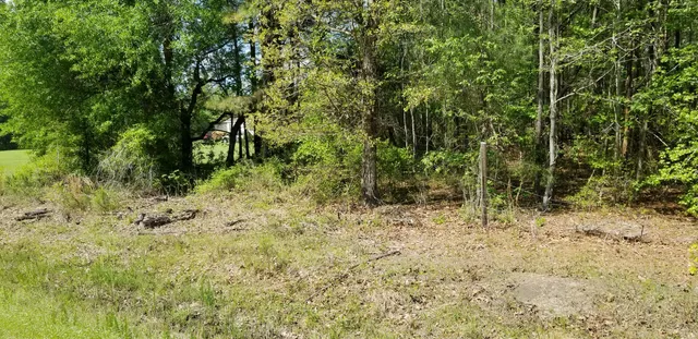 $35,000 | 0 Belton Lane, Ruffin, SC 29475