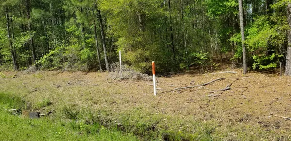 $35,000 | 0 Belton Lane, Ruffin, SC 29475